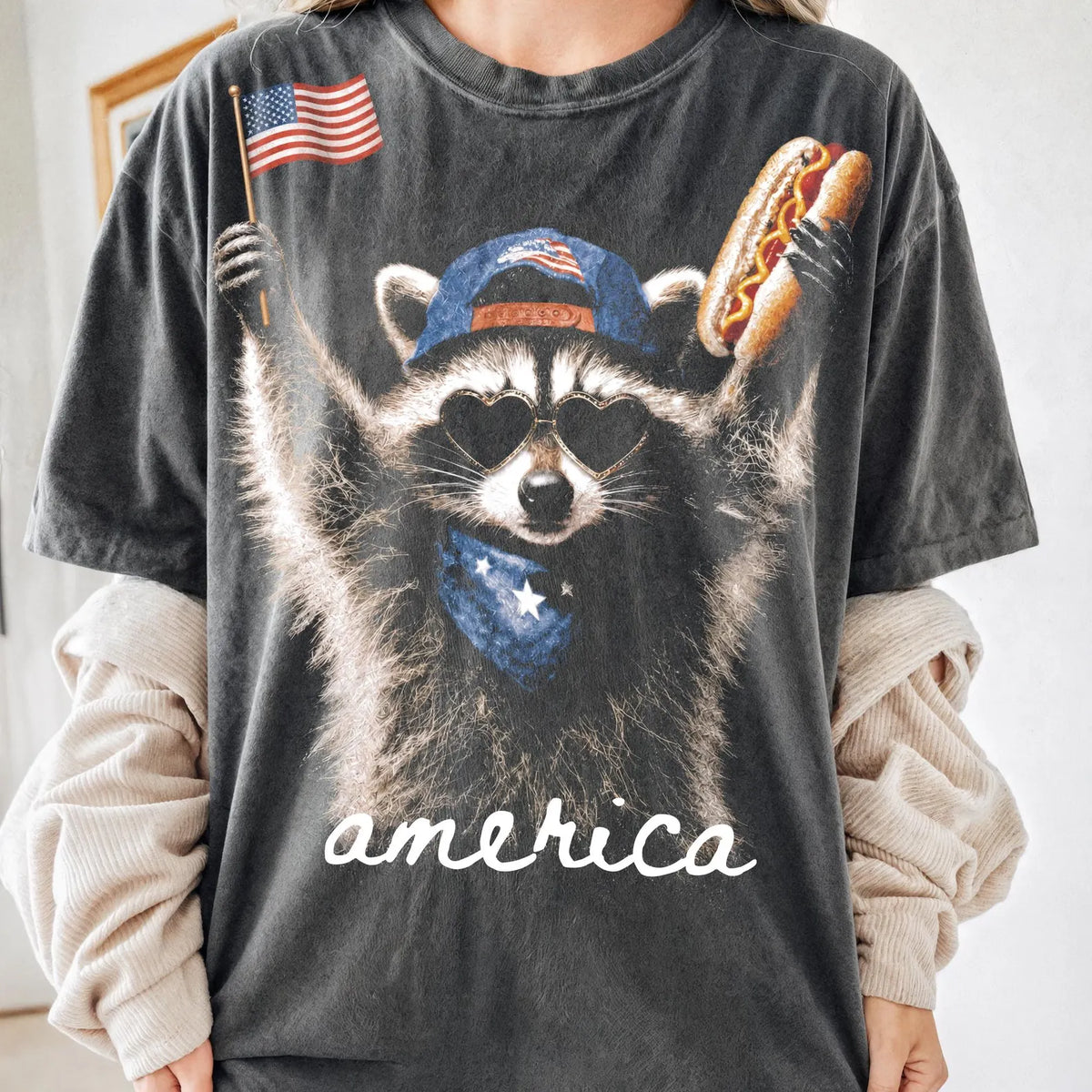 #4309 Raccoon 4th of July