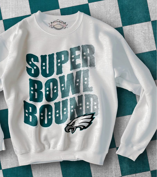 #0789 Super Bowl Bound Eagles