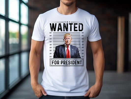 #2053 Wanted For President