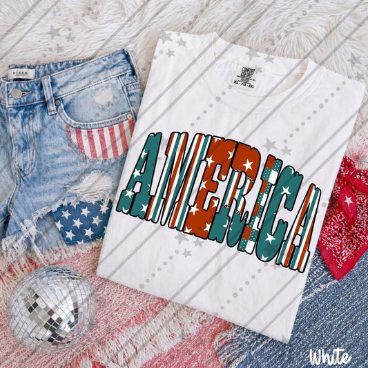 #4302 America