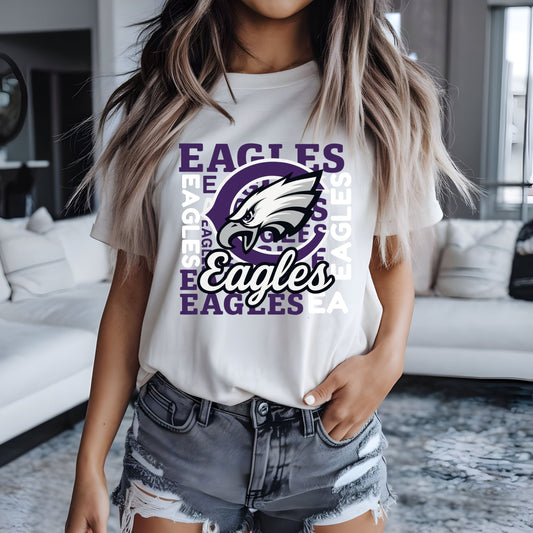 #0987 Scattered Eagles
