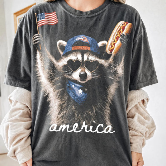 #4309 Raccoon 4th of July